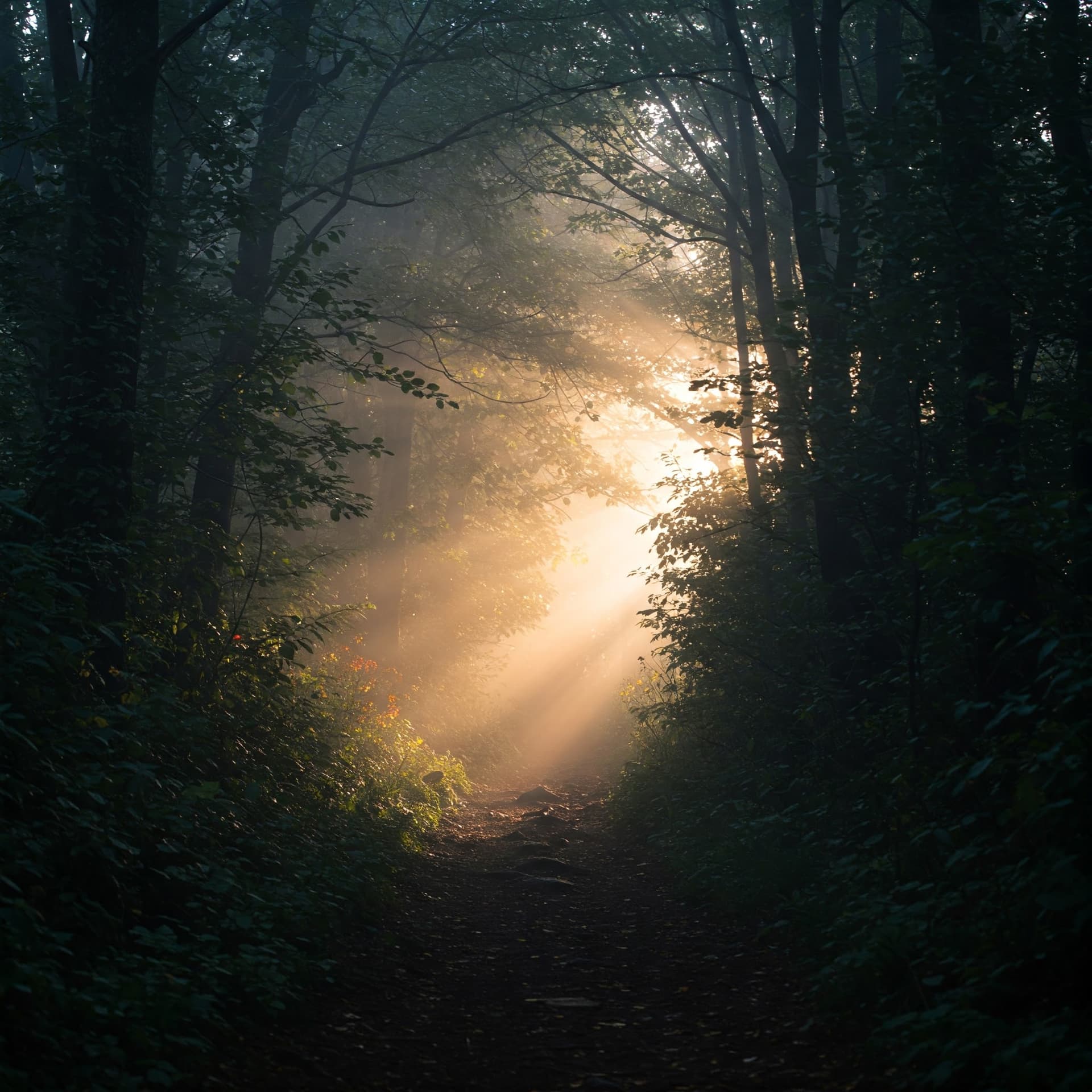 Navigating Mood and Emotional Well-being